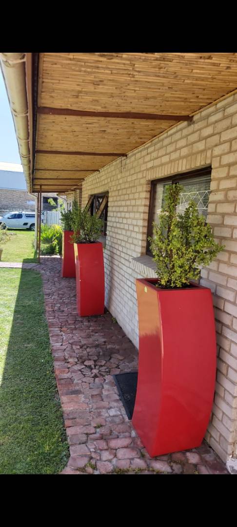 To Let 0 Bedroom Property for Rent in Newton Park Eastern Cape